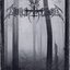 Nebelwald