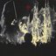 Cathedral Fire - Single