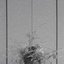 For Loyin [Explicit]