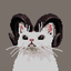 Avatar for ColourlessColor