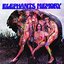 Elephant's Memory