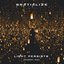 Light Persists (Ghandi Mix)