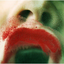 Avatar for maypuffy