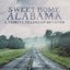 Sweet Home Alabama: A Tribute to Lynyrd Skynyrd