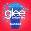 Blackbird (Glee Cast Version) - Single