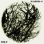 Ritual EP