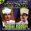 בקונצרט באמריקה 2