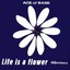 Life Is A Flower (The Remixes)