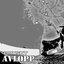 AVLOPP