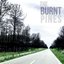 The Burnt Pines
