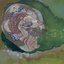 Where Moths Eat and Worms Destroy