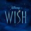 Wish (Originele Nederlandstalige Soundtrack)