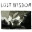 Lost Wisdom (feat. Julie Doiron & Fred Squire)