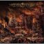 Within the Fire