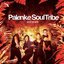 Best of Palenke Soultribe