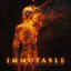 Immutable: An Instrumental Tribute