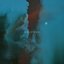 Endowed - Single