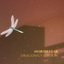 North Star (Dragonfly Edition)