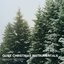 Quiet Christmas Instrumentals