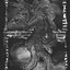 Werewolf Of Sodom