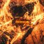 Bonfire Dreams