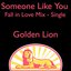 Someone Like You(Fall in Love Mix)