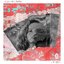 Disappear - Single