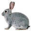 Avatar für lapin7