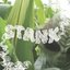 STANK - Single