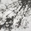 Fragments