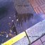 in the puddle