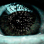Avatar for dobedobedoo