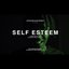 Self Esteem - Single