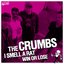 The Crumbs & the Ridicules - Split Ep