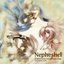 Nepheshel Original Sound Track ／ ツナグソノテ