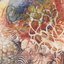 Ethnospheric Decay