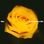 No me hago a la idea - Single