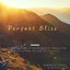 Perfect Bliss