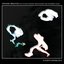 12 duets (DCWM) 2012