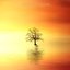 Rising in the Sun - Single
