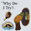 Why Do I Try?