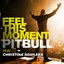 Feel This Moment Remixes