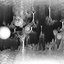 Monochromatic - Single