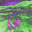 NAYSAYER
