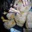 My Teddy