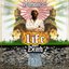 Life Over Death