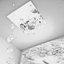 BATHED IN SKYLIGHT