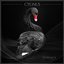 Cygnus - Single