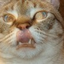 Avatar di eatstatic