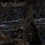 Within the Labyrinth